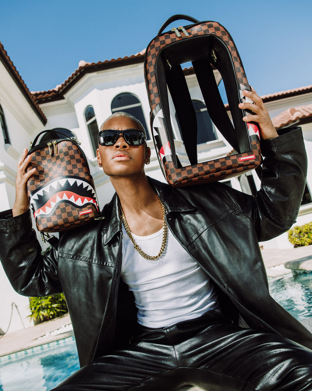 BAG IN A BAG BACKPACK